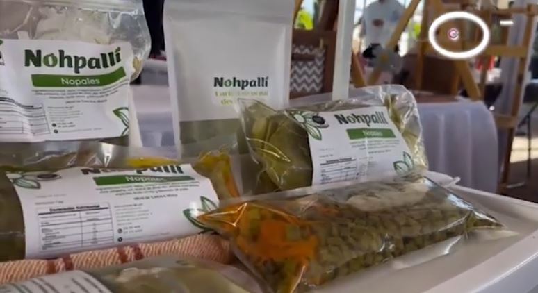 Aún estás a tiempo de acceder al Programa de “Economías Colectivas 2026”