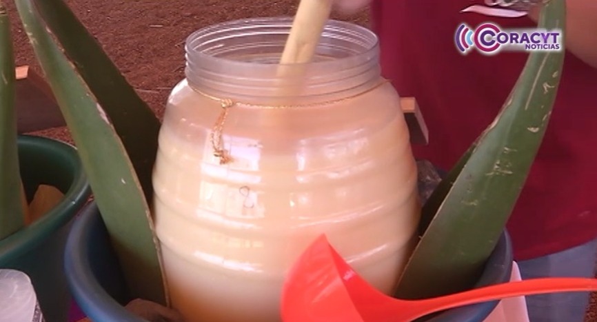 Participarán 20 productores en el “Festival del Pulque Tlachiquero de las Alturas”